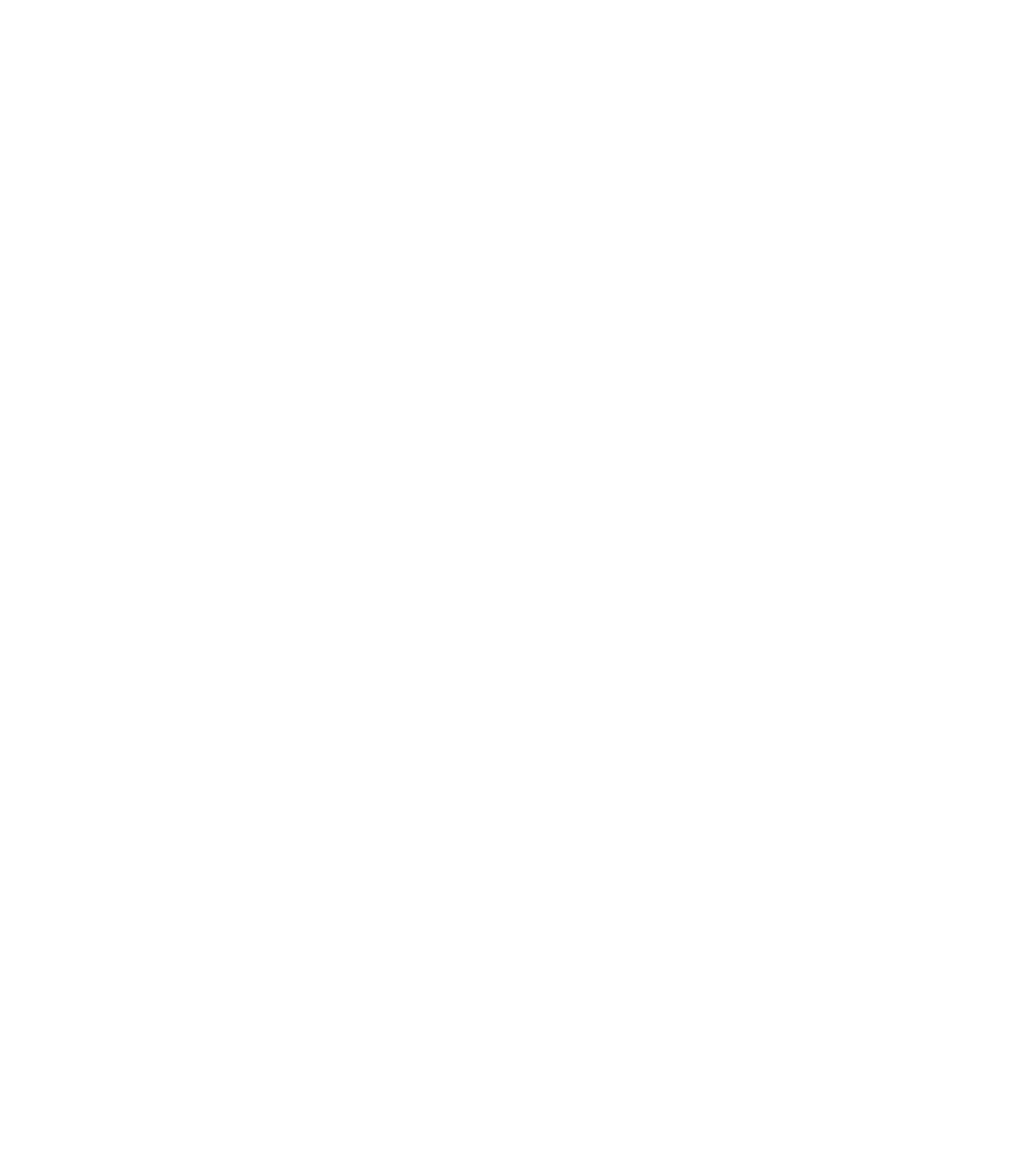 Logo_Brossay_Blanc
