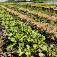 467126751_122152324214327884_674816789337804677_n