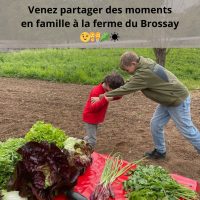 468944962_122157489212327884_2515526152902210365_n