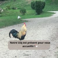 469099598_122157841514327884_448103923778333709_n