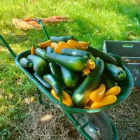 469113911_122157476264327884_4560403979673518553_n