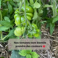 469254669_122157845912327884_1092267521889444242_n