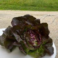 469328276_17876124081214793_7847538538289149637_n