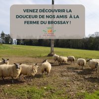 469360244_122158056542327884_942106847512225799_n