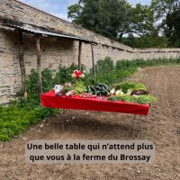 469471152_122157867632327884_4408751573606804167_n